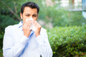 Allergies or Sinus Infection?